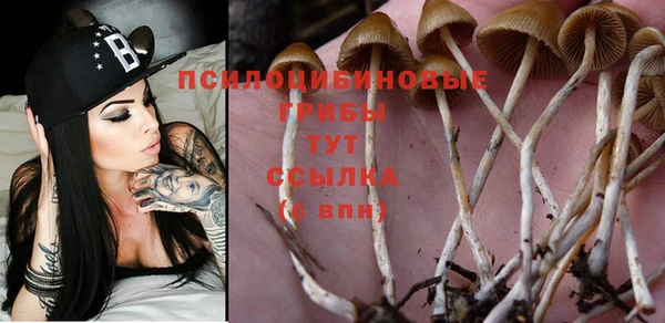 таблы Николаевск-на-Амуре